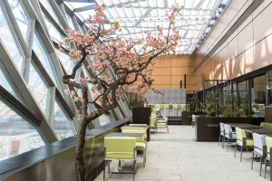 ياواتشا (Yauatcha) - تَذَوَّقَ